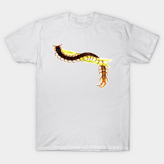 100 legged animal hunting centipede T-Shirt by Marccelus